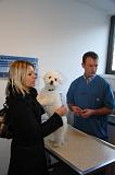 AUSCULTATION 046